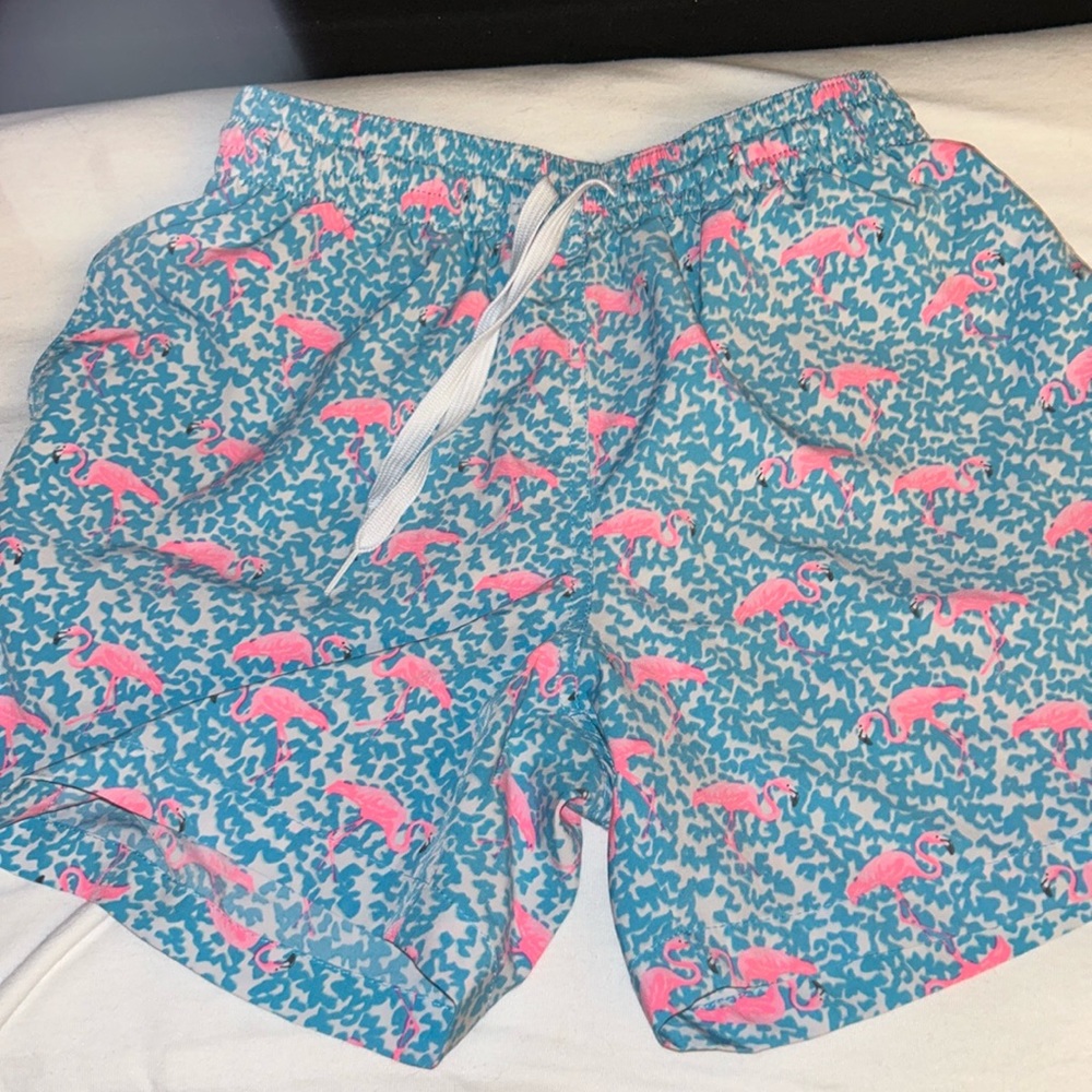 Chubbies trunks